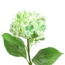Product Hydrangea artificial green, white 68cm