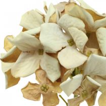 Hydrangea artificial flower brown, white autumn decoration silk flower H32cm