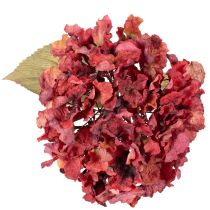 Product Artificial hydrangea flowering branch, large bloom, 74cm