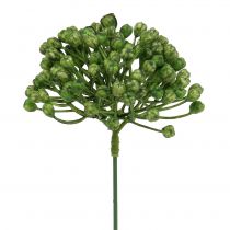 Product Hydrangea bud pick 22cm green 12 pcs