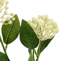 Product Hydrangea bud branch 55cm cream 6pcs