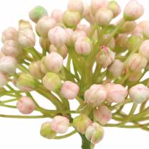Product Hydrangea bud pick 21cm pink 12 pcs