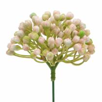 Product Hydrangea bud pick 21cm pink 12 pcs