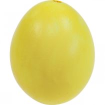 Product Easter Eggs Yellow Blown Eggs Chicken Egg 5.5cm 10pcs