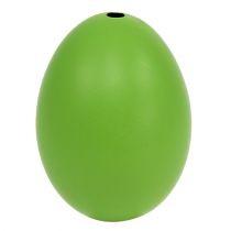 Product Chicken Eggs 5.5cm - 7cm Green 10pcs