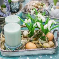 Product Chicken Eggs Brown 10 pcs