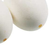 Product White chicken eggs, 10 pieces
