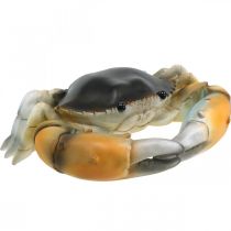 Sea creature, beach crab, maritime decoration orange-brown 31×25cm