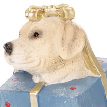 Product Decorative figurine of a sitting puppy in a gift box, 20cm