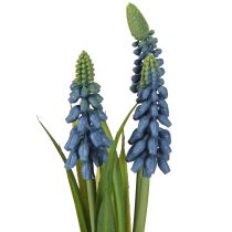 Product Hyacinth artificial Pearl hyacinth blue in glass H22cm 2pcs