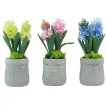 Product Hyacinth artificial in pot yellow pink blue H23cm 3pcs