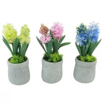 Product Hyacinth artificial in pot yellow pink blue H23cm 3pcs