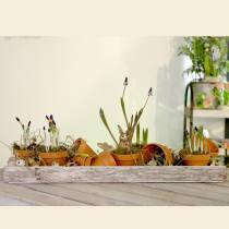 Product Clay flower pot, Ø5cm, height 4cm, 10 pieces