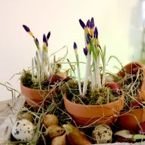 Product Clay flowerpot Ø9cm high 8cm 10pcs