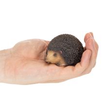 Product Hedgehog Decorative Figurine, Small Table Decoration for Autumn, 8cm