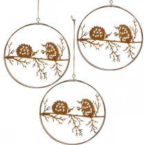 Product Metal pendant, hedgehog on branch, autumn decoration, decorative ring rust Ø15.5cm 3 pcs