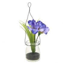 Product Iris lilac in a glass for hanging H21.5cm