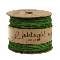 Product Jute Cord Green Ø2mm 100g