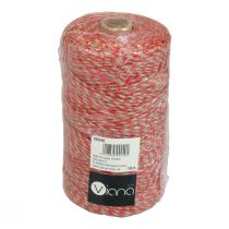 Product Jute ribbon jute cord jute string red natural colour Ø2.5mm 200m