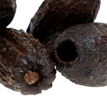 Cocoa pods natural 10-18cm 15pcs