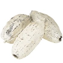 Product Cocoa pods whitewashed 15 pcs