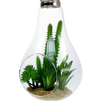 Cacti in a glass to hang 21cm