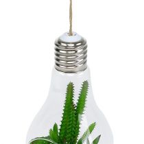 Product Cacti in a glass to hang 21cm