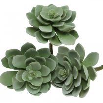 Artificial succulent deco artificial plants green 11×8.5cm 3pcs