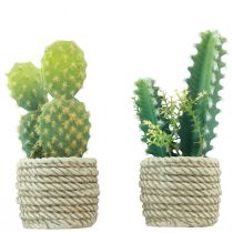 Cactus in pot artificial cactus assorted 28cm 2pcs