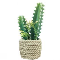 Product Cactus in pot artificial cactus assorted 28cm 2pcs