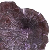 Kalix mushroom purple, white washed 100pcs