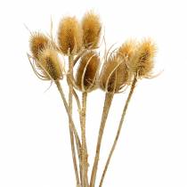 Product Dried Thistle Flowers, Natural Style, 8 Heads - Artificial Decor, Autumn Decoration Bouquet