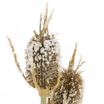 Thistle branch artificially iced brown card thistle with 3 heads 90cm