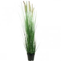 Artificial sedge in a pot with spikes Carex artificial plant 98cm