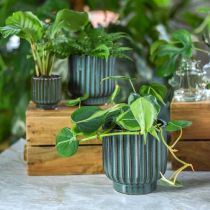 Ceramic plant pot, flower decoration, wavy planter green, brown Ø15.5cm H16.5cm