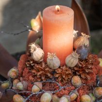 Product Solid coloured candles Orange Peach pillar candles 85×120mm 2pcs