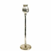 Product Candlestick poppy blossom champagne H41cm