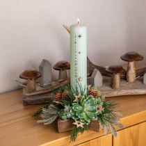 Candlestick, table decoration Christmas, candlestick star H7cm Ø20cm/6.5cm