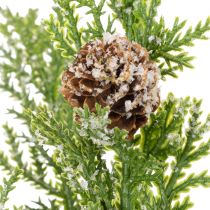 Product Artificial pine branch with cones, snow-covered, 28cm, 6 pieces