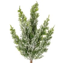 Product Artificially snow-covered pine branch for floral arrangements and Advent decorations, 40cm, 3 pieces
