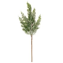 Product Artificially snow-covered pine branch for floral arrangements and Advent decorations, 40cm, 3 pieces