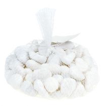 Product Pebbles in the net White 2.5cm - 4cm 1kg