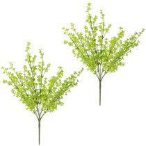 Product Clover Dwarf Clover Artificial Plants in Green on Pick 49cm 2pcs