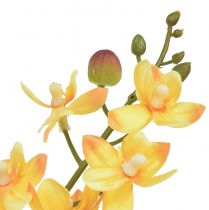 Product Small Orchid Phalaenopsis artificial yellow 30cm