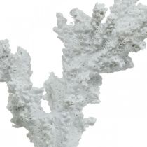 Maritime decoration coral white artificial decoration stand 11×12cm