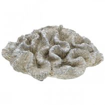 Maritime decoration coral beige white artificial polyresin 23x20cm