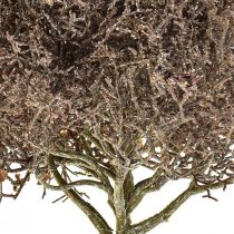 Product Coral Branch Frosted Artificial Plants Winter Decoration Ø23cm