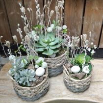 Basket braided oval planter nature, gray 29/24cm set of 2