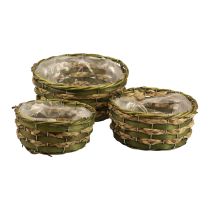 Product Basket round plant basket braided green wood Ø26/21/18cm set of 3