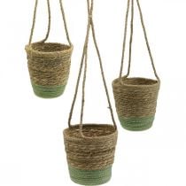 Hanging basket, natural basket, planter for hanging natural, green Ø19/17/15cm set of 3